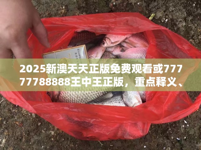 2025新澳天天正版免费观看或77777788888王中王正版，重点释义、解释与落实,警惕不实的钓鱼钩