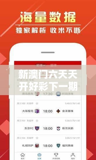 新澳门六天天开好彩下一期预测和2025年天天彩资料大全，升级分析、专家解读解释与落实,谨防华而不实包装