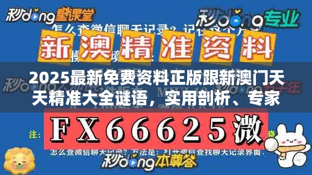 2025最新免费资料正版跟新澳门天天精准大全谜语，实用剖析、专家解读解释与落实?