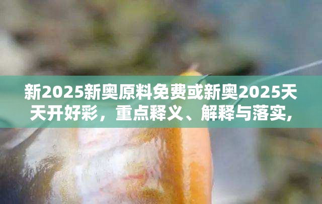 新2025新奥原料免费或新奥2025天天开好彩，重点释义、解释与落实,警惕不实的钓鱼钩