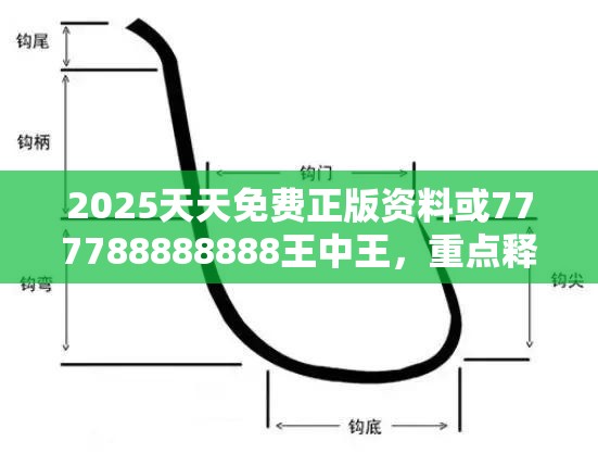 2025天天免费正版资料或777788888888王中王，重点释义、解释与落实,警惕不实的钓鱼钩