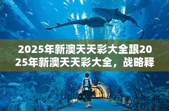 2025年新澳天天彩大全跟2025年新澳天天彩大全，战略释义、专家解析解释与落实,留心欺诈性营销