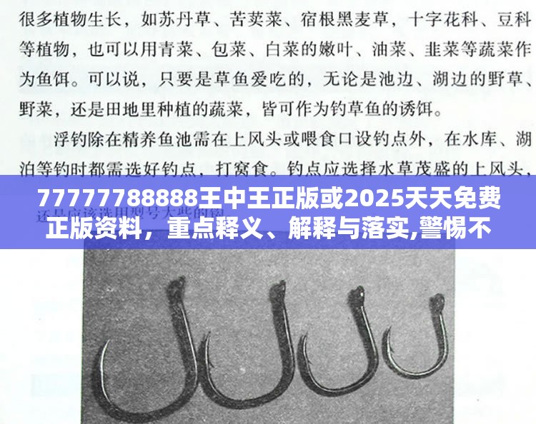 77777788888王中王正版或2025天天免费正版资料，重点释义、解释与落实,警惕不实的钓鱼钩