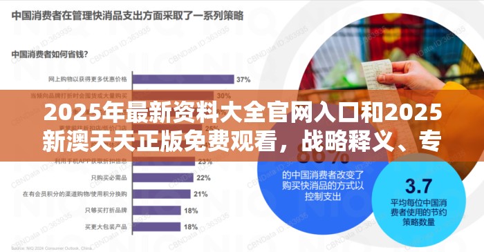 2025年最新资料大全官网入口和2025新澳天天正版免费观看，战略释义、专家解析解释与落实,留心欺诈性营销