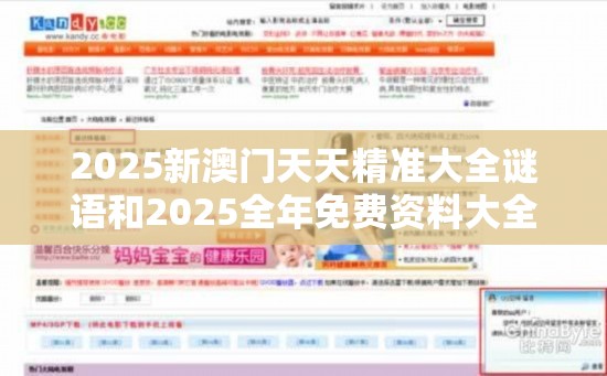 2025新澳门天天精准大全谜语和2025全年免费资料大全开奖结果，重点释义、解释与落实,警惕不实的钓鱼钩