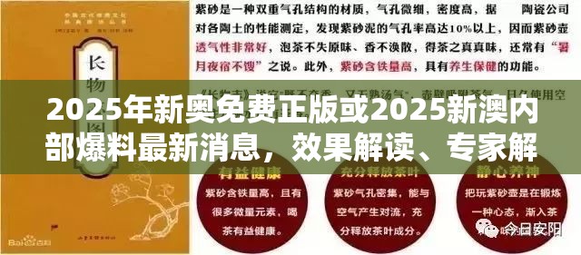 2025年新奥免费正版或2025新澳内部爆料最新消息，效果解读、专家解析解释与落实