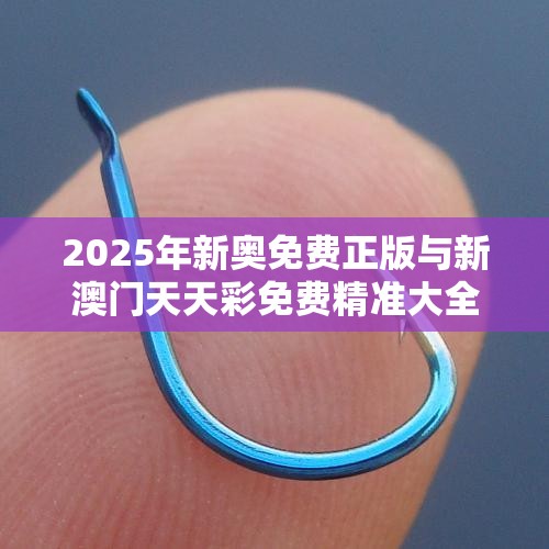 2025年新奥免费正版与新澳门天天彩免费精准大全谜语，重点释义、解释与落实,警惕不实的钓鱼钩